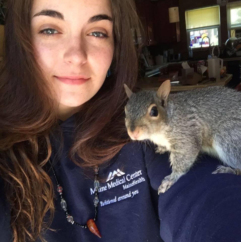 Veterinary and Rehabilitation Center of Cape Elizabeth Cara Martell Veterinary and Rehabilitation Center of Cape Elizabeth Cara Martell