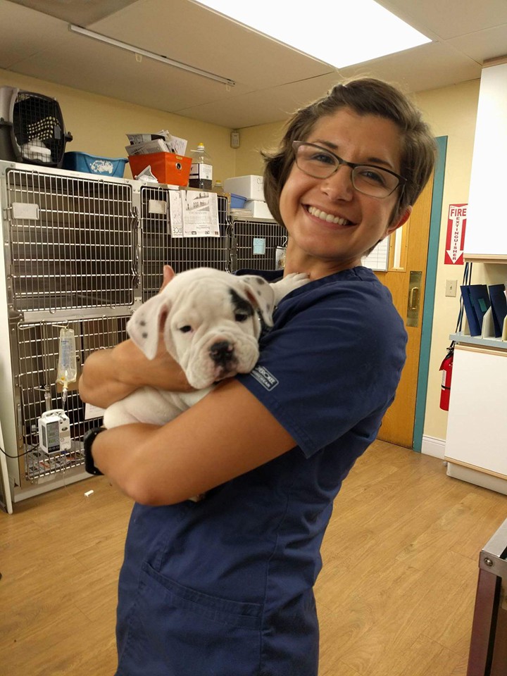 Veterinary and Rehabilitation Center of Cape Elizabeth Veterinary Assistant Kristin Harmon Veterinary and Rehabilitation Center of Cape Elizabeth Veterinary Assistant Kristin Harmon