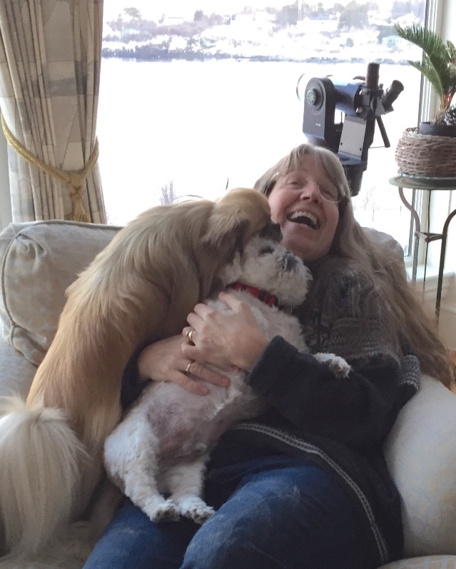 veterinary and rehabilitation center of cape elizabeth , marketing and digital management, Robin Elliott veterinary and rehabilitation center of cape elizabeth , marketing and digital management, Robin Elliott