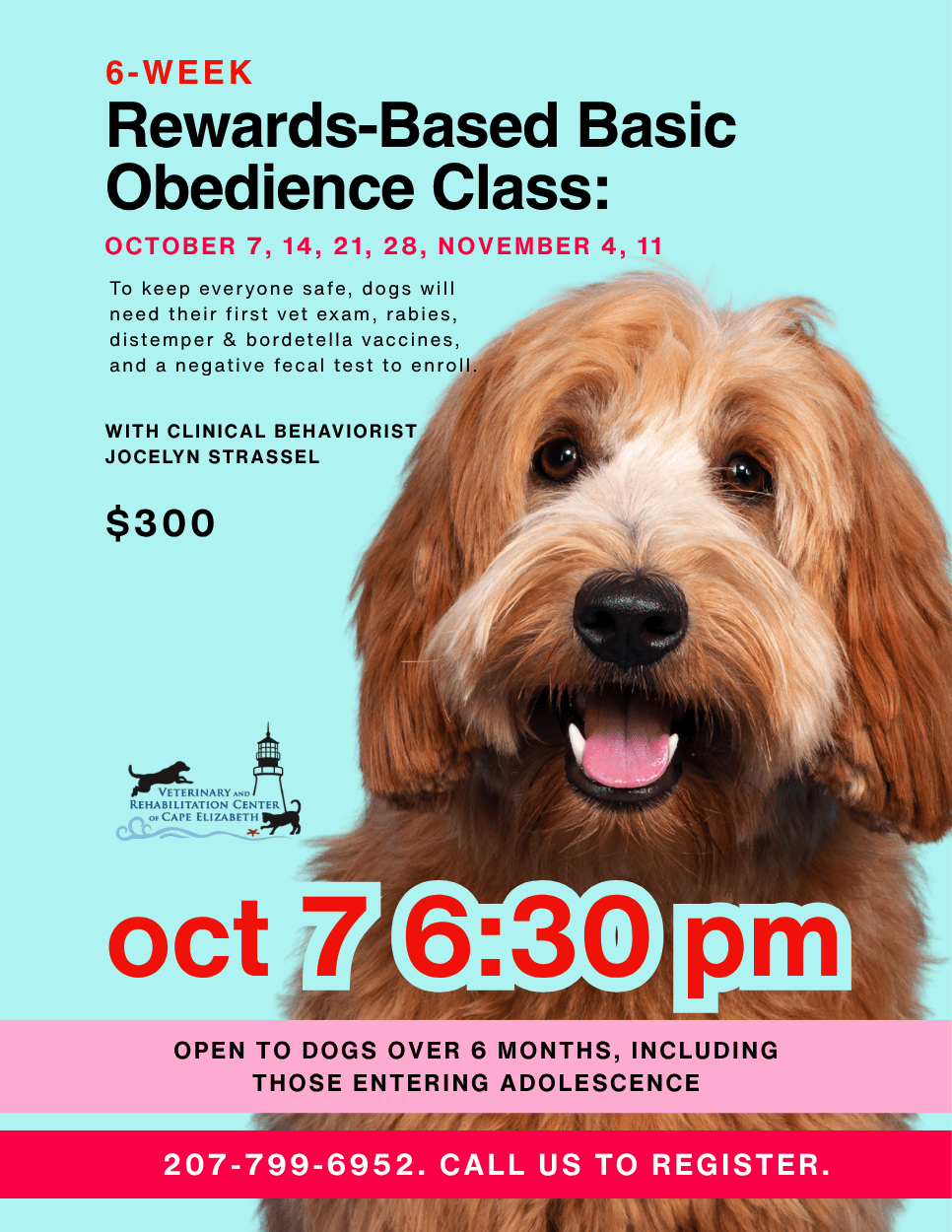 Obedience Classes