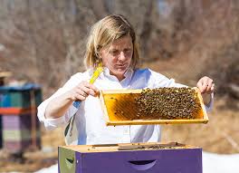 Erin MacGregor - Beekeeper