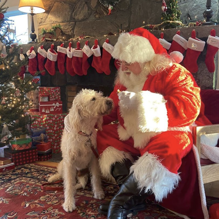 Santa and Dog