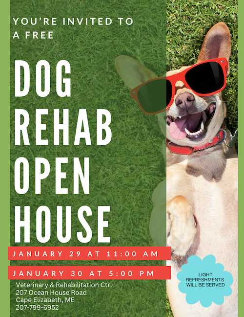 Dog Rehab Open House