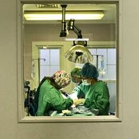 Surgical procedure thru window