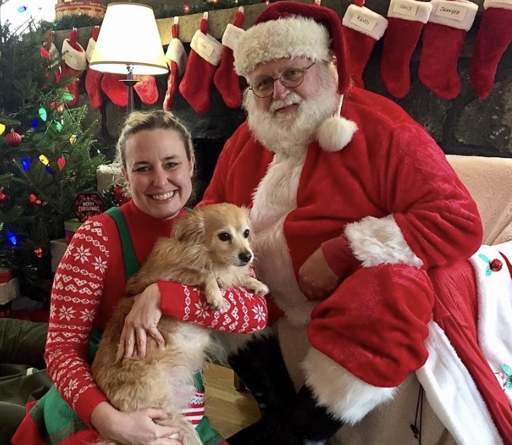 Santa, Staff and Dog