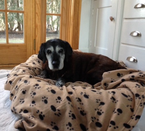 Memorials - Angie (1999 - 2016)