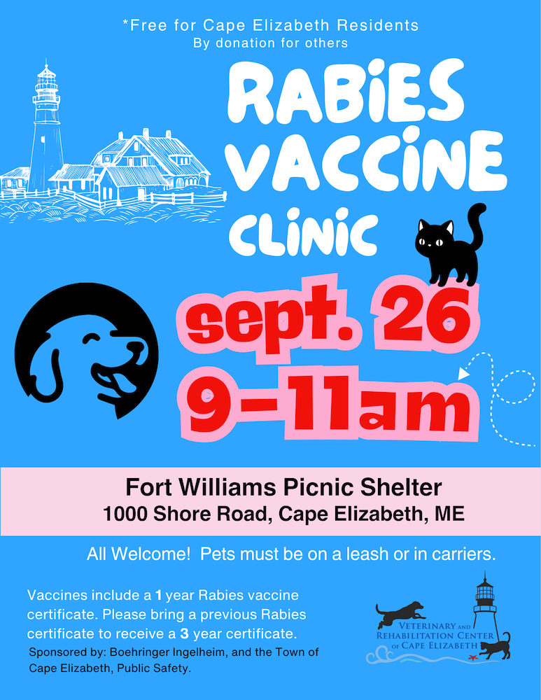 Rabies Vaccine Clinic