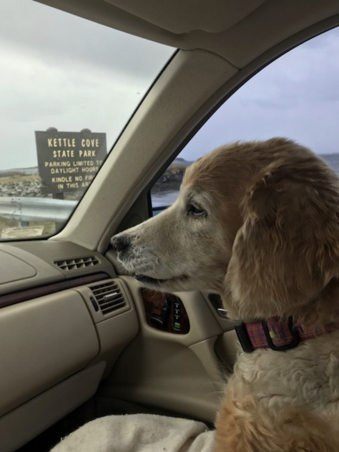 Memorials - Sarah (2003 - 2018)