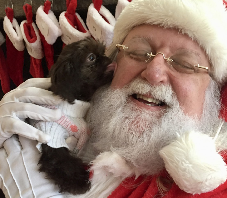 Santa 3