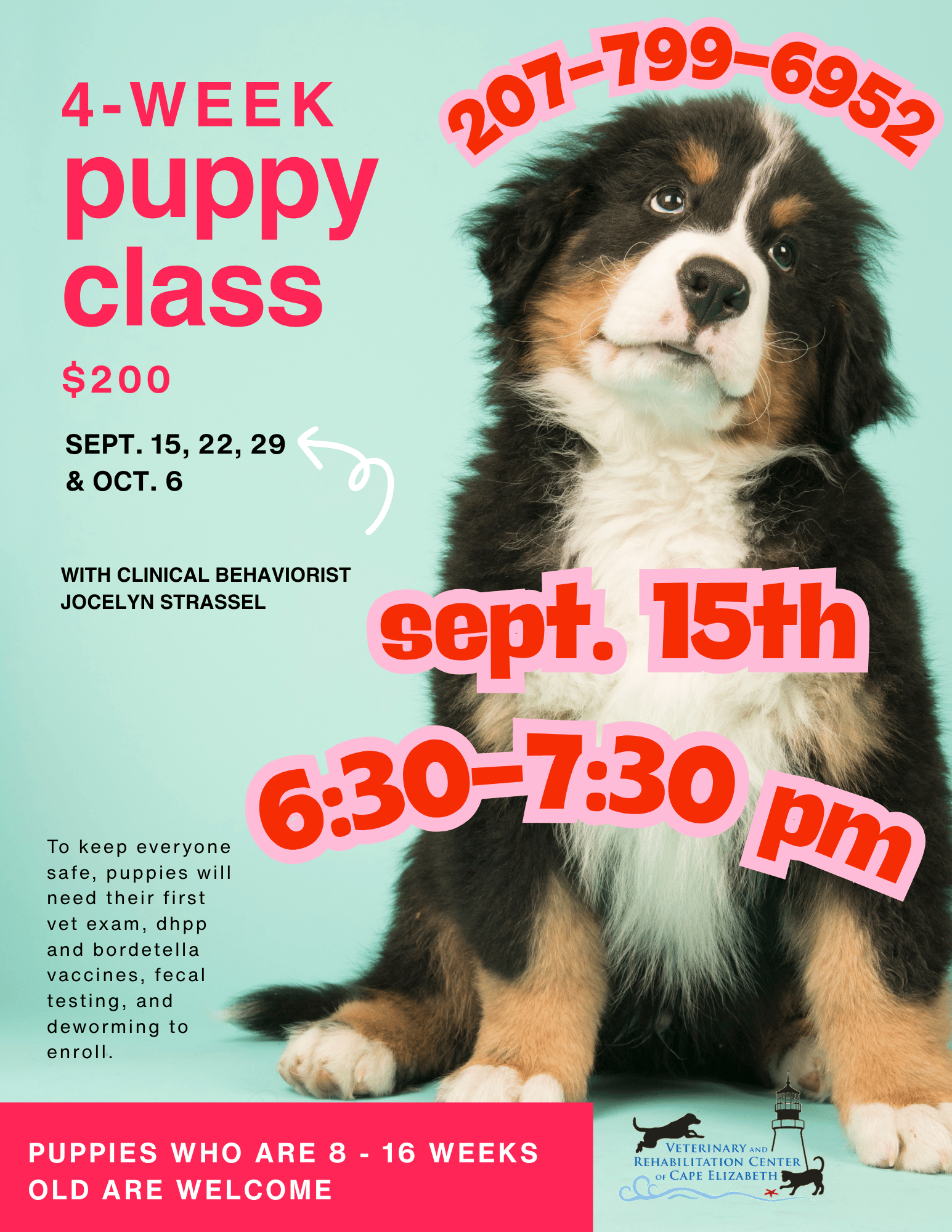 Puppy Class