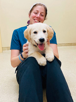 Wellness Care - Staff + Dog