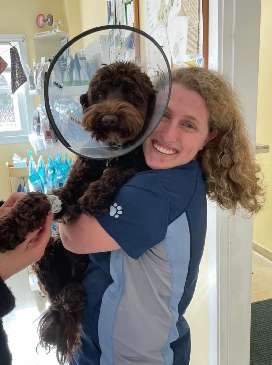 Surgery - Staff + Dog