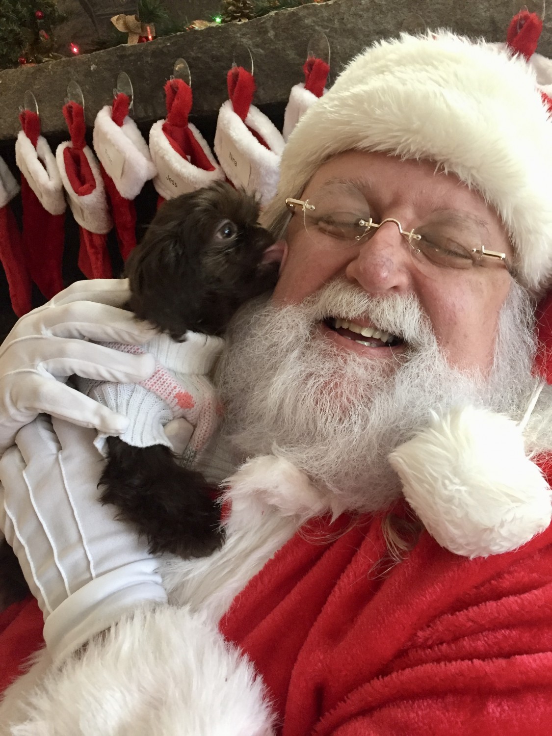 Santa and Puppy