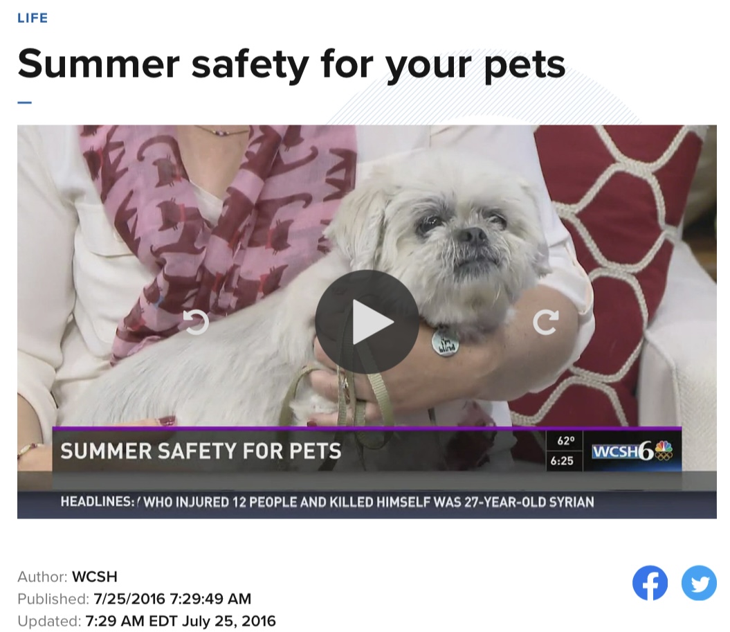 Summer safety for your pets