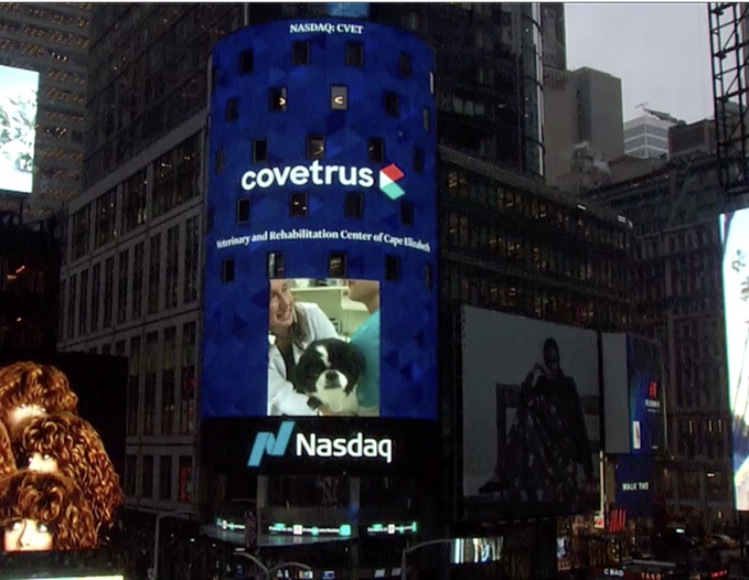 Picture on Big Screen