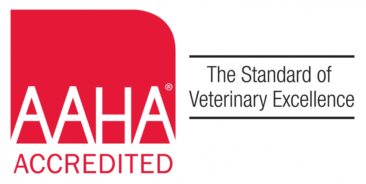 AAHA American Animal Hospital Association accredited veterinary hospital in cape elizabeth, portland, falmouth, scarborough, south portland, maine