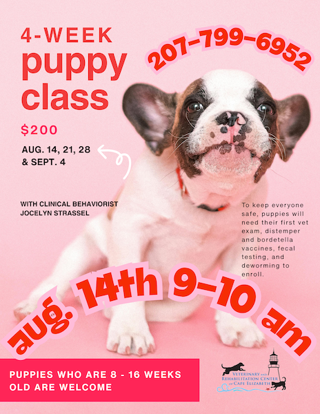 Puppy Training Class description